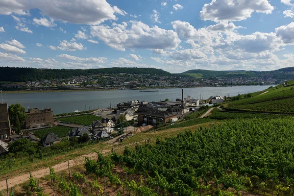 Güneşin güzel bir günde vadiyi aydınlattığı yürüyüş parkurundan Almanya 'nın Bingen am Rhein manzarası