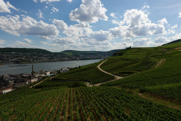 Güneşin güzel bir günde vadiyi aydınlattığı yürüyüş parkurundan Almanya 'nın Bingen am Rhein manzarası