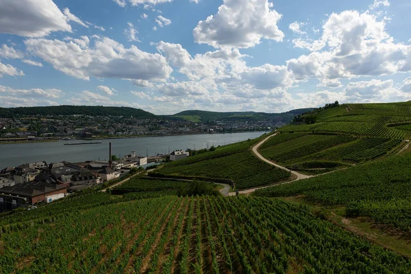 View Bingen Rhein Germany Hiking Trail Sun Just Illuminates Valley — Stock Photo, Image