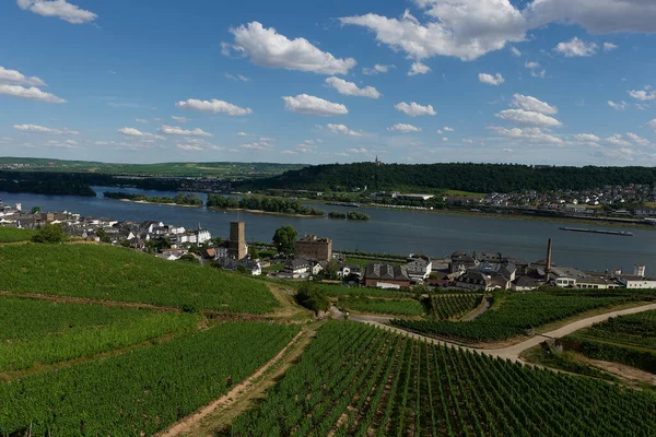 View Bingen Rhein Germany Hiking Trail Sun Just Illuminates Valley — Stock Photo, Image