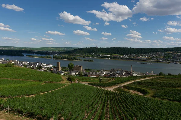 Uma Vista Bingen Rhein Alemanha Partir Trilha Caminhadas Como Sol — Fotografia de Stock