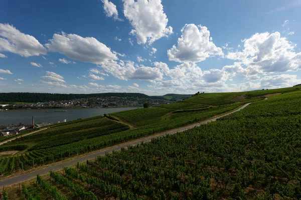 Güneşin güzel bir günde vadiyi aydınlattığı yürüyüş parkurundan Almanya 'nın Bingen am Rhein manzarası