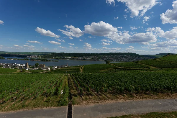 Güneşin güzel bir günde vadiyi aydınlattığı yürüyüş parkurundan Almanya 'nın Bingen am Rhein manzarası