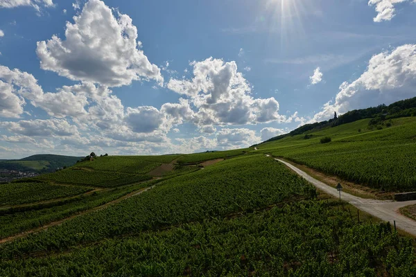 Uitzicht Bingen Rhein Duitsland Vanaf Wandelweg Want Zon Verlicht Het — Stockfoto