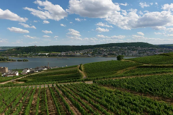 Güneşin güzel bir günde vadiyi aydınlattığı yürüyüş parkurundan Almanya 'nın Bingen am Rhein manzarası