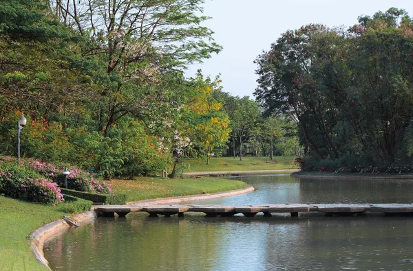 Central Park pond and bridge. Bangkok, Thailand — Stock Photo, Image