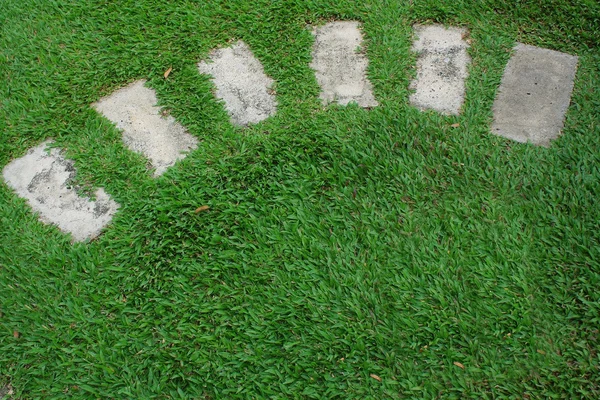 Chemin piétonnier en pelouse verte — Photo