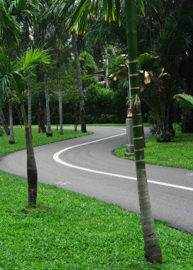 Orman yolu veya yatay