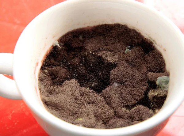 Küflenmiş Kupası ile farklı tür-in kalıp (yakın çekim vurdu)