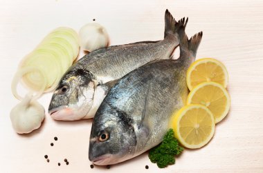 ham dorado balığı