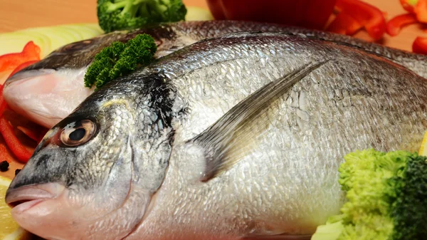 Fresh Dorada fish — Stock Photo, Image