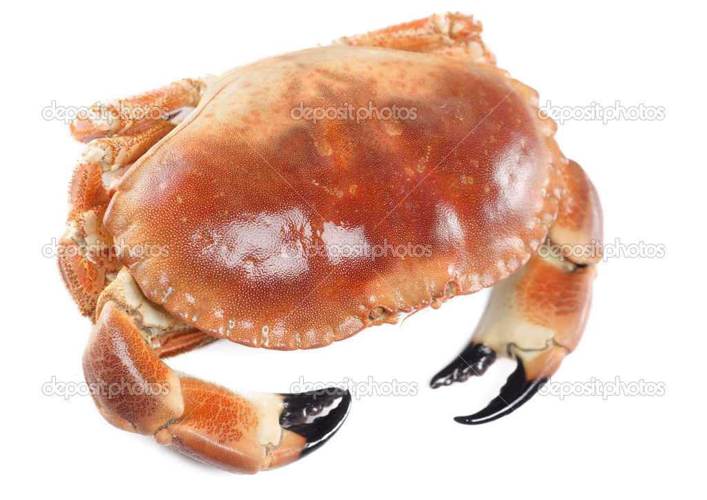 Prepared crab