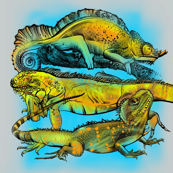 bir ağaç dalı üzerinde parlak renkli kertenkeleler boyalı. iguana, bukalemun, sürüngen. Çocuk çizim. Biyoloji Ansiklopedisi. boyama kitabı, muhteşem illüstrasyon. Hayvanat Bahçesi