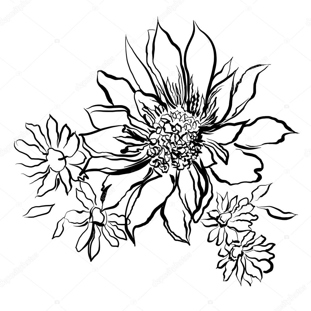 Fleurs, contour noir peint sur le fond blanc — Illustration de stock par  ©allween - 45575715, image size:1024x1024
