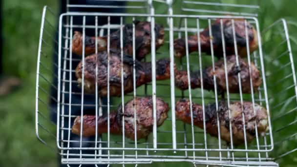 Grillowane Nóżki Kurczaka Grillu Kebab Ręku Osoba Tle Zielonej Trawy — Wideo stockowe