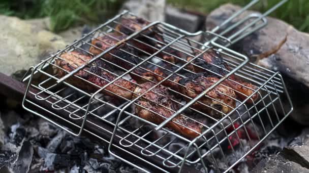 Pernas Frango Rede Grade Fritam Carvão Vegetal Pele Inchaços Carne — Vídeo de Stock