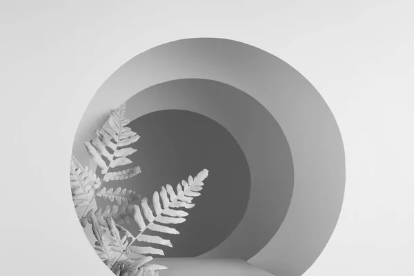 양치식물 원추형 원추형 원추형 그림자 프레젠테이션을 추상적 스타일의 템플릿 클로즈업 — 스톡 사진