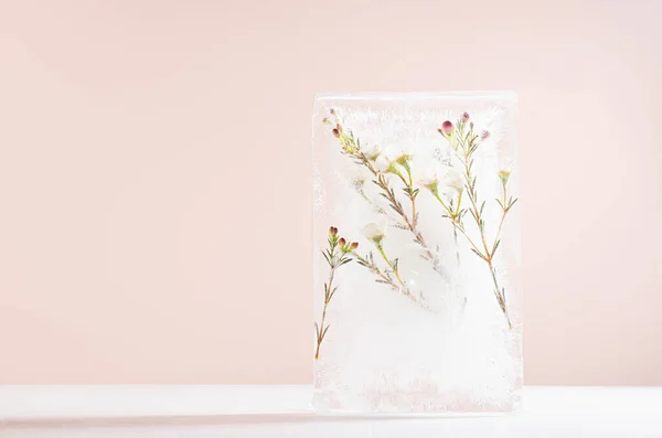 Delicadas Flores Sakura Blanco Suave Rama Verde Congelado Bloque Hielo — Foto de Stock