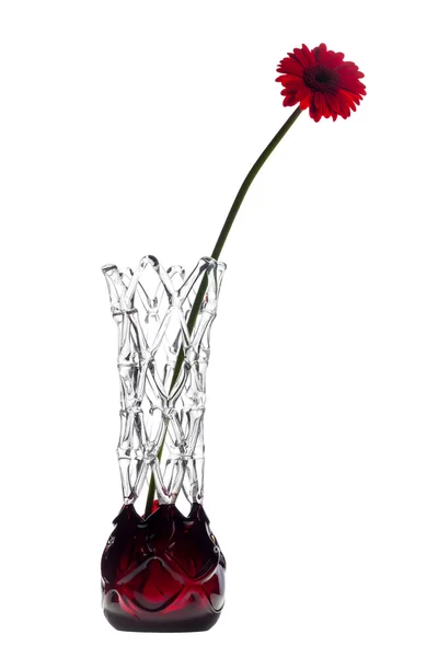 Abstrakte Vase auf weißem Hintergrund mit einer roten Gerbera-Blume — Stockfoto