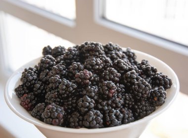 Beyaz bir tabakta küçük bir böğürtlen dağı. Yakın plan. Boşluğu kopyala.