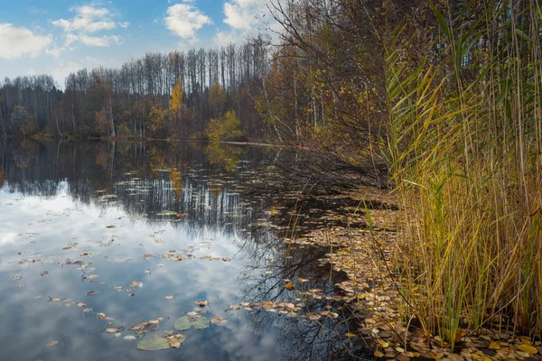 Paysage Automne Vue Sur Forêt Automne Reflétée Dans Lac Avec — Photo