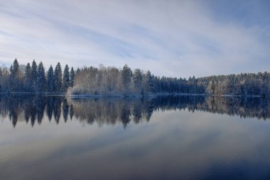 İlk karla kaplı bir orman, gölde yansıyan bir yansıma, bulutlu mavi bir gökyüzünün arka planında. Boşluğu kopyala.
