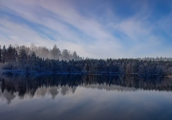 Заснеженный Лес Первым Снегом Отражение Озере Фоне Голубого Неба Облаками — стоковое фото