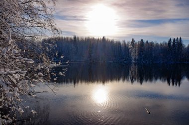 Karla kaplı bir orman, ilk karla kaplı, gölde bir yansıma, bulutlu mavi bir gökyüzünün arka planında.