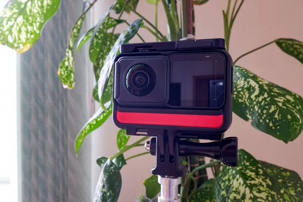 Ofisteki bir tripodun üzerindeki modern 360 kamera bir ev bitkisinin arka planına karşı.