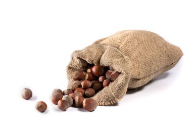 Bir çuval dolusu çuval dolusu kumaş yan yatar ve içinden fındık dökülür. beyaz arkaplan.