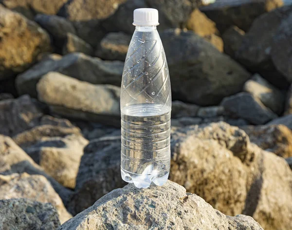Прозрачная Пластиковая Бутылка Воды Скалах Копировальное Пространство — стоковое фото