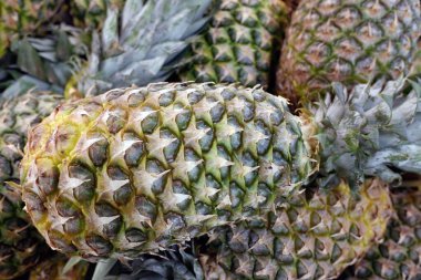 Birçok ananasın arka planı. Yakın plan, kopyalama alanı.