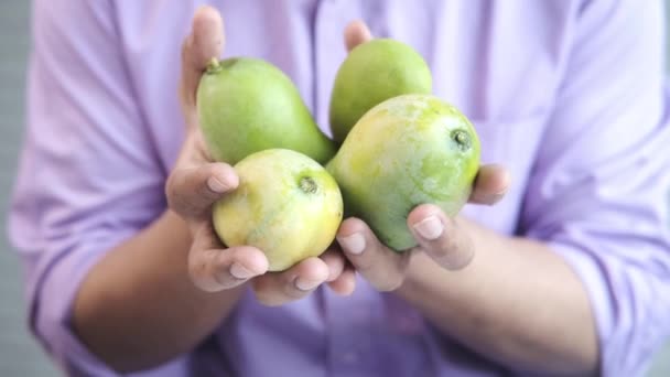 Ruka držet Čerstvé zelené mango zavřít — Stock video