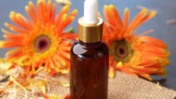 Eucalyptus essential oils in a glass bottle and flower on table — Stock Video