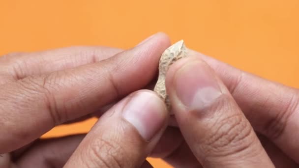 Вынимая кожу из арахиса — стоковое видео