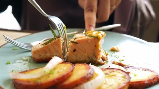 美味的鲑鱼、土豆泥和蔬菜在盘子里 — 图库视频影像