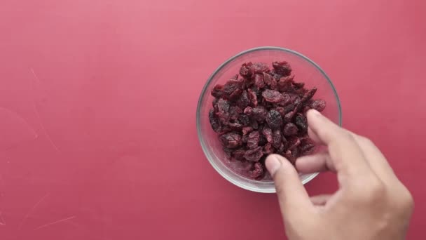 Ručně sbírat sušené brusinky na stole — Stock video