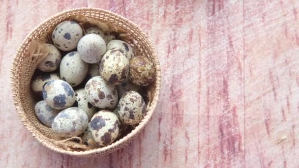 Primer plano de huevos de codornices en una caja — Vídeo de stock