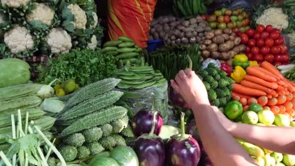Verse groenten die op de lokale markt in dhaka worden verkocht — Stockvideo