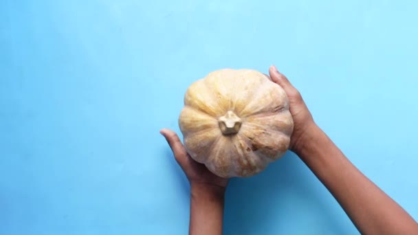 Hand hold a small pumpkin against blue backgorund — Stock Video