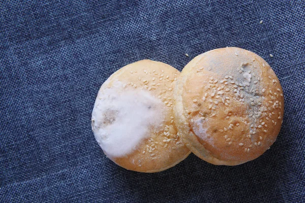 Braunes Brot mit Mehltau. Verdorbene Produkte — Stockfoto