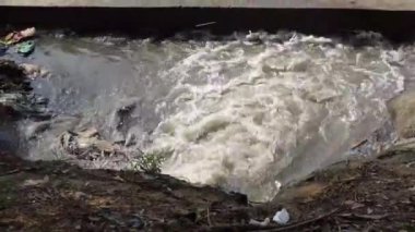 Göldeki Polution. Kirli su 