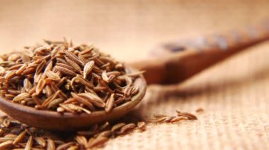 Kimyon tohumları kaşığın üstünde, kapat. 