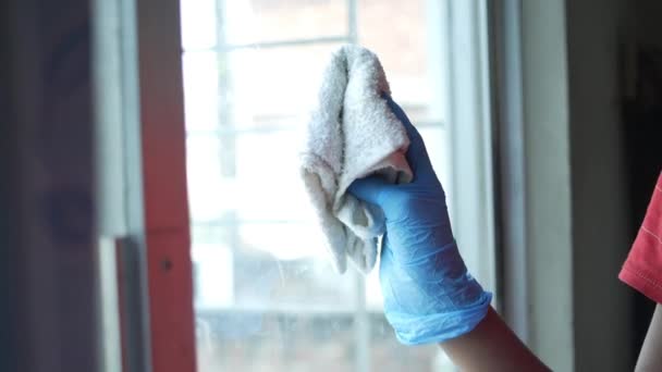 Gros plan de la main de la personne dans des gants nettoyage vitre — Video