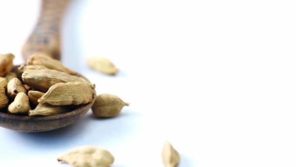 Close up of Cardamom on a spoon on table — Stock Video