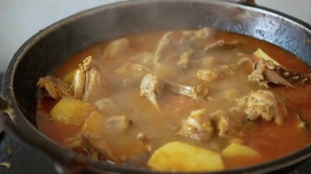 Närbild av hemlagad indiansk kyckling curry — Stockvideo