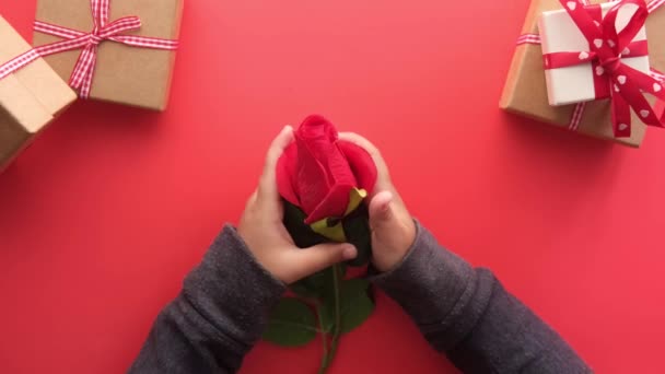 Bambino in possesso di scatola regalo e rosa fiore su sfondo rosso — Video Stock