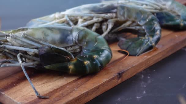 Close up of raw king prawn on table. — Stock Video