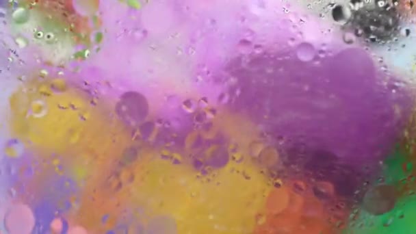 Pohybující se bubliny směsi oleje, vody a barev — Stock video