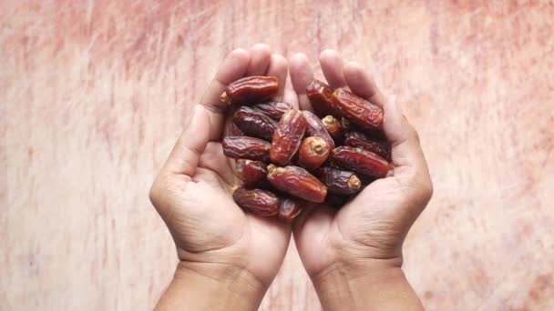 Top view of date fruit on hand — Stockvideo